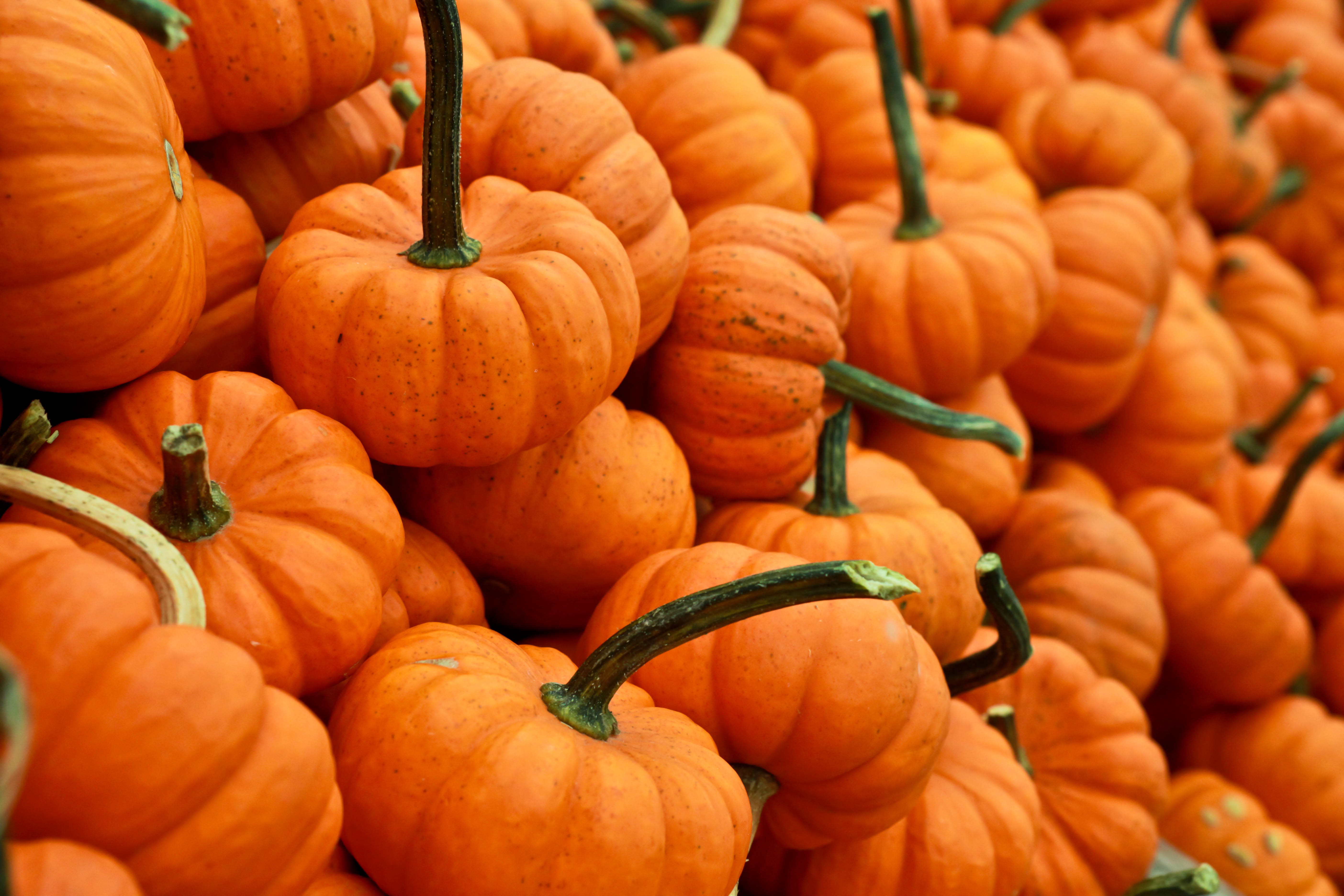 Pumpkin A Super Healthy Fall Food